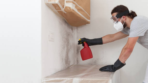 Professional Crawl Space Mold Removal technician working in Villanova, PA