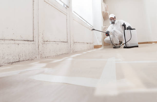 24/7 Emergency Crawl Space Mold Removal experts in Villanova, PA