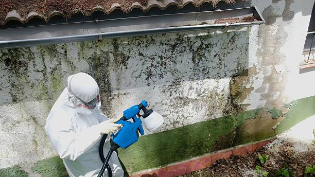 Trusted Commercial Mold Remediation service in Villanova, PA - Cheap Mold Removal